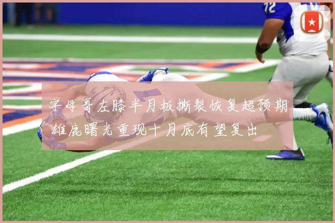 字母哥左膝半月板撕裂恢复超预期 雄鹿曙光重现十月底有望复出