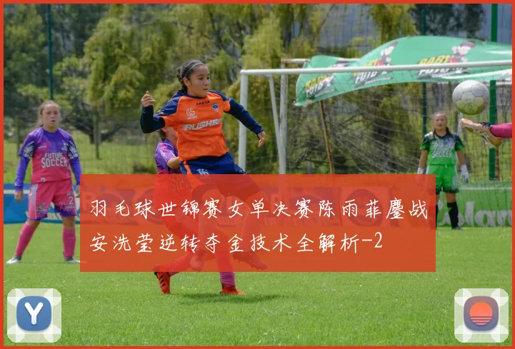 羽毛球世锦赛女单决赛陈雨菲鏖战安洗莹逆转夺金技术全解析